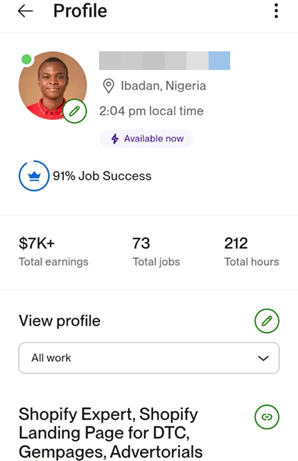 Freelancer · Upwork profile